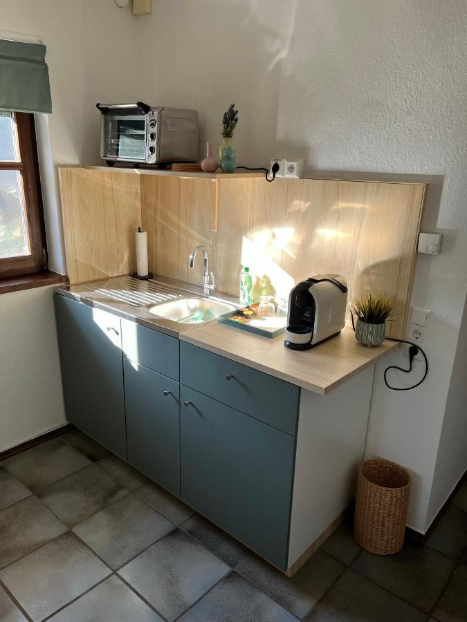 1 Zimmer Whg Waldfischbach Exteriér fotografie